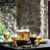 Luigi Bormioli Birrateque Cider Glasses set 2 - Image 6