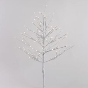 White Twig Tree