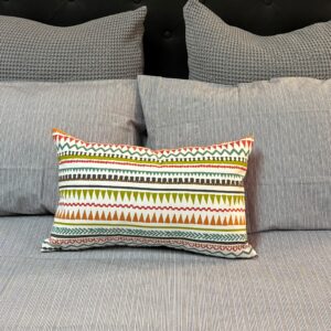 Indi Orangina Custom Cushion
